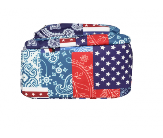 Starts Mixed Stripes Paisley Print Backpack