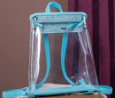 Clear Backpack- Transparent Turquoise